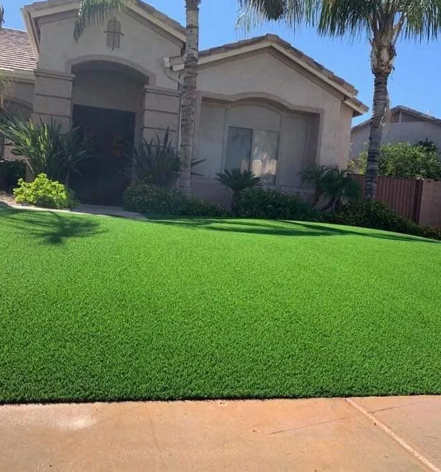Turf Project 6