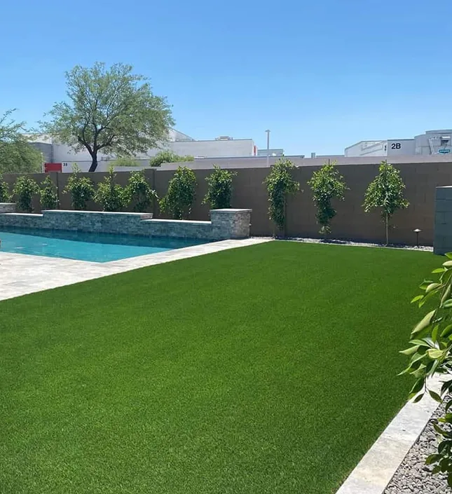Professional Artificial Turf Cleaning Nairobi