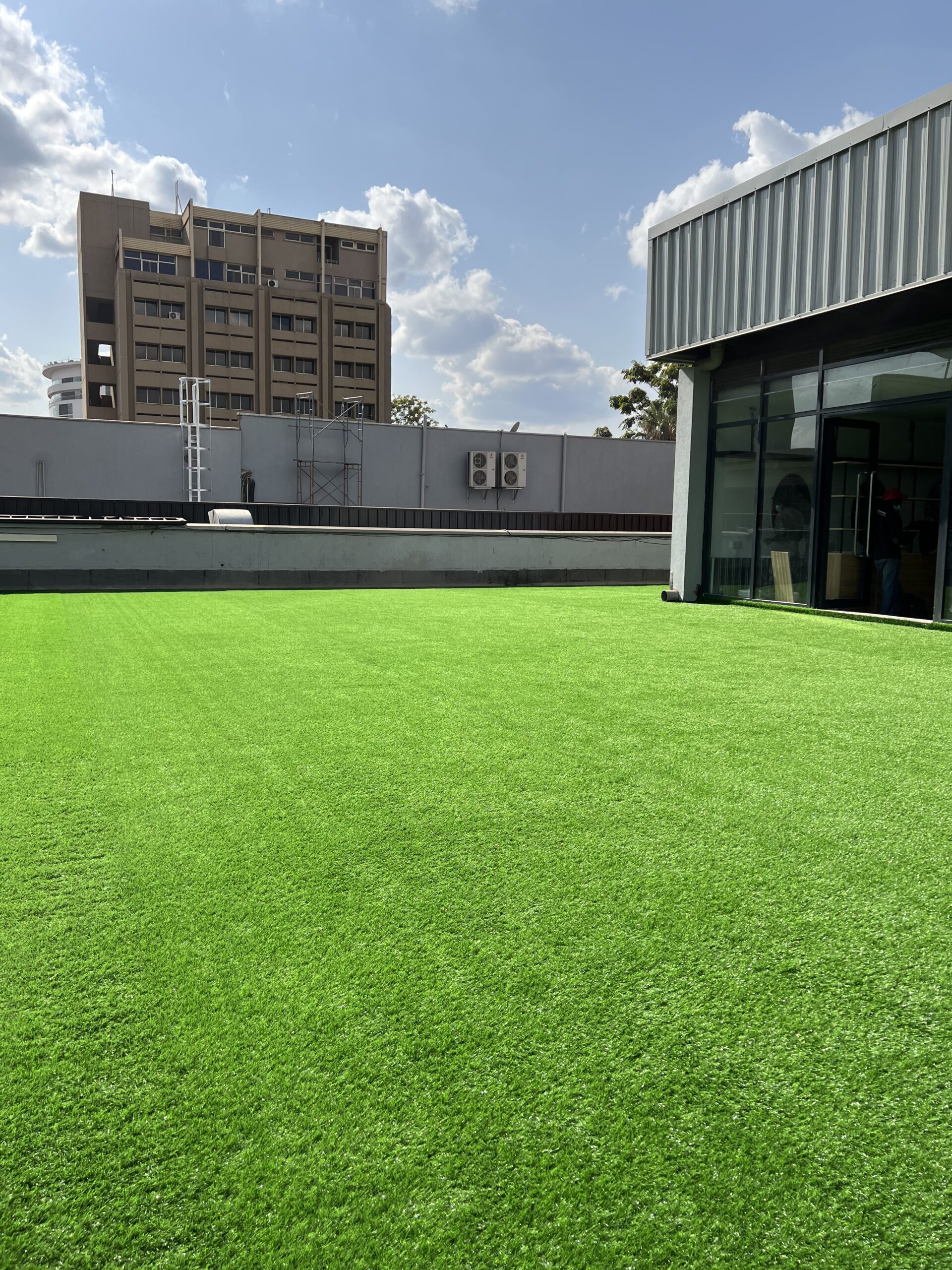 Professional Turf Odor Removal