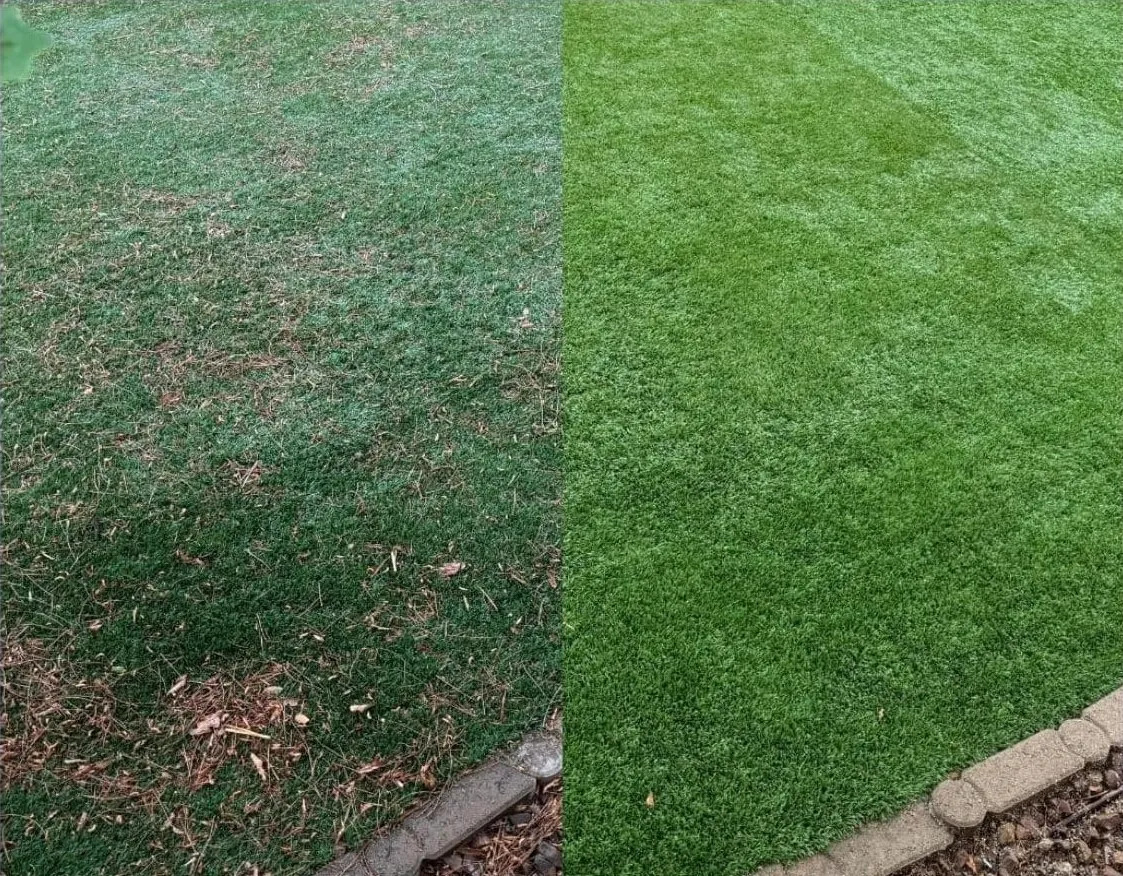 Turf Fiber Restoration